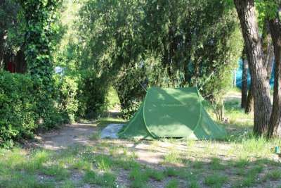 Una tenda verde montata sotto gli alberi, circondata da vegetazione.