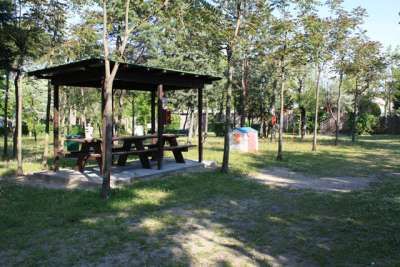 Tavolo da picnic sotto un pergolato in uno spazio aperto con alberi.