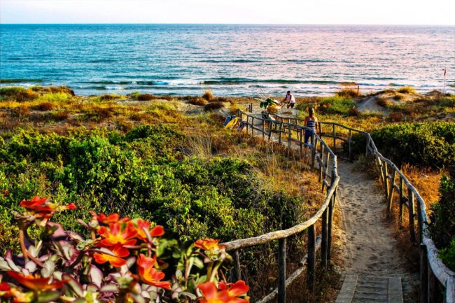 Sentiero verso la spiaggia attraverso dune e vegetazione.