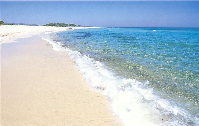 Spiaggia con sabbia chiara e mare cristallino sotto un cielo azzurro.