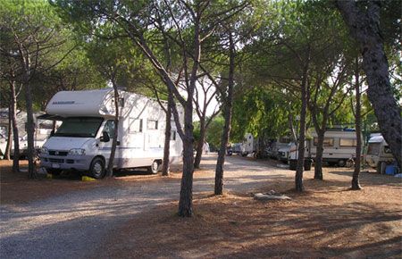 Camper parcheggiati tra alberi in un campeggio.
