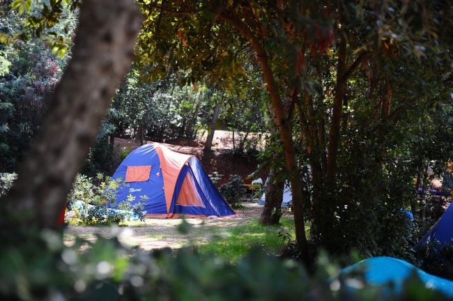 Una tenda blu e arancione montata in un campeggio alberato.