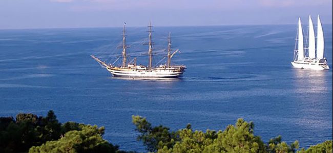 Velieri e barche a vela su un mare blu, con alberi in primo piano.