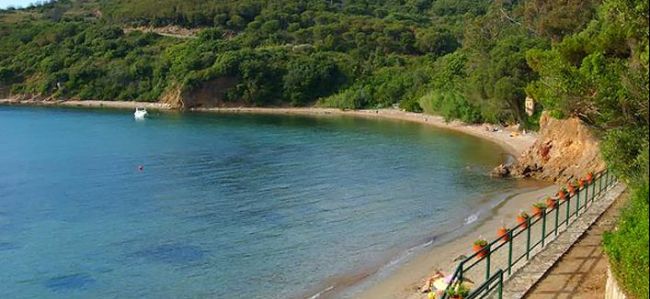 Spiaggia deserta con mare calmo, vegetazione verde e staccionata lungo la riva.