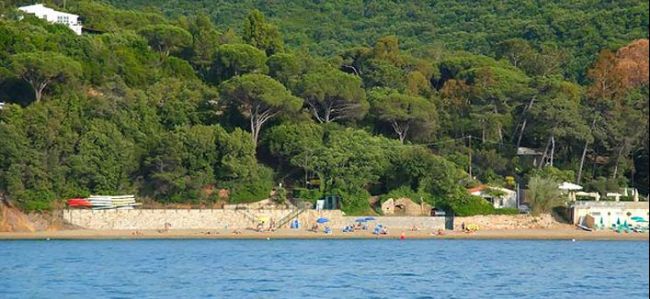 Spiaggia circondata da fitte colline boschive.