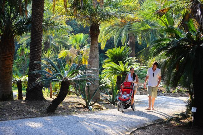 Due persone camminano su un sentiero tra palme con passeggino rosso.