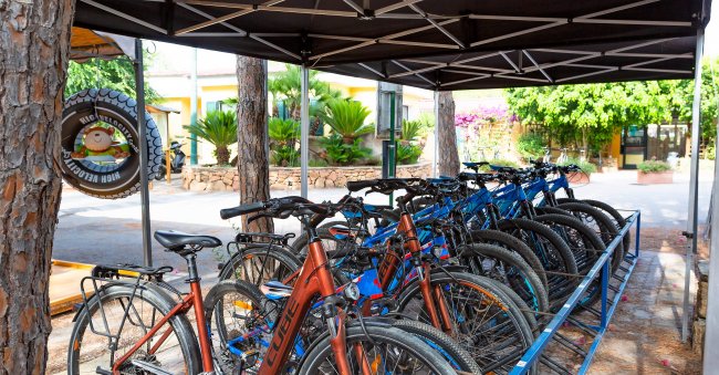 Biciclette parcheggiate sotto una tettoia vicino a piante ornamentali.