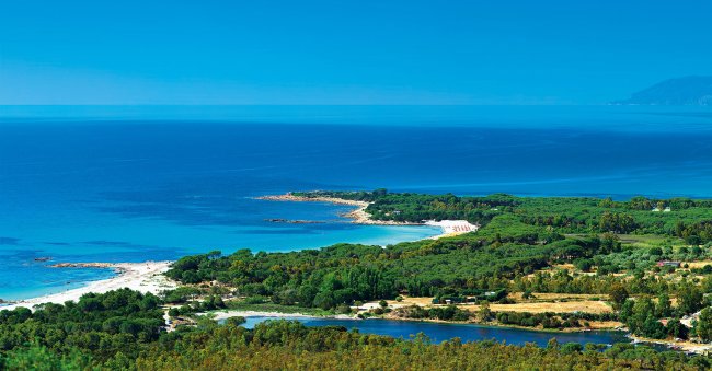 Costa con spiaggia e vegetazione verde.