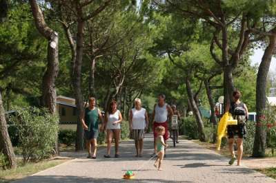 Persone che passeggiano su un viale alberato, con un bambino che corre avanti.