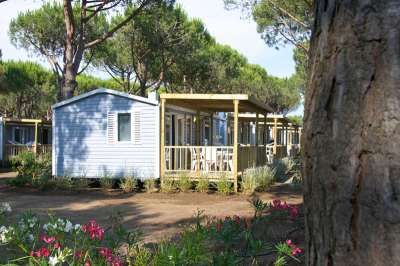 Casa mobile blu con veranda in un ambiente boschivo.