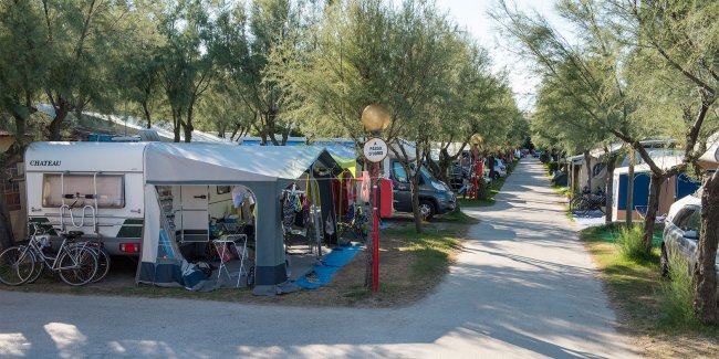 Campeggio alberato con caravan e piste per il passaggio.