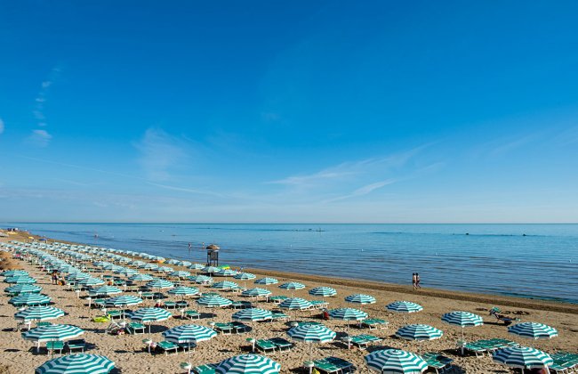 Spiaggia con file di ombrelloni verdi e bianchi.
