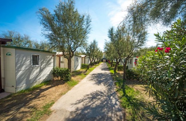 Vialetto con case mobili e alberi.