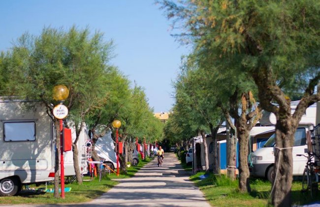 Viale alberato tra camper e roulotte. Persona in bicicletta al centro del viale.