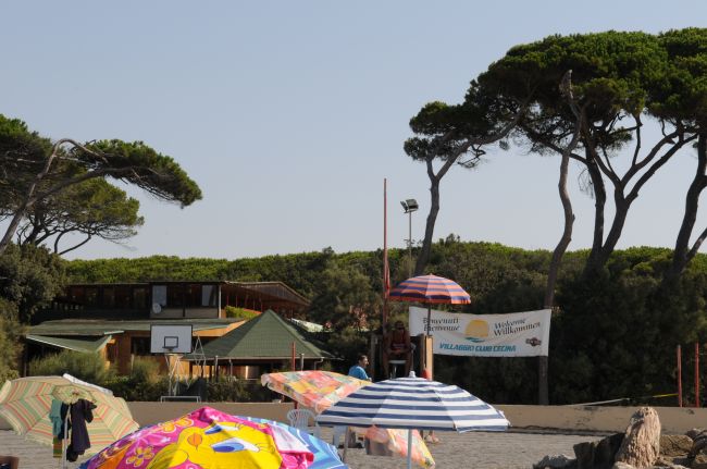 Spiaggia con ombrelloni colorati, pini mediterranei, e strutture di legno.