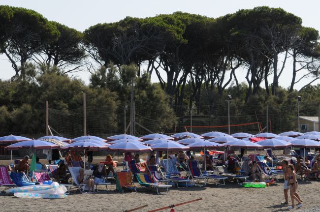 Spiaggia affollata con lettini sotto ombrelloni blu e alberi sullo sfondo.