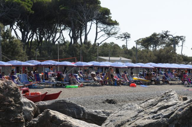 Spiaggia con sdraio e ombrelloni blu, con alberi sullo sfondo.