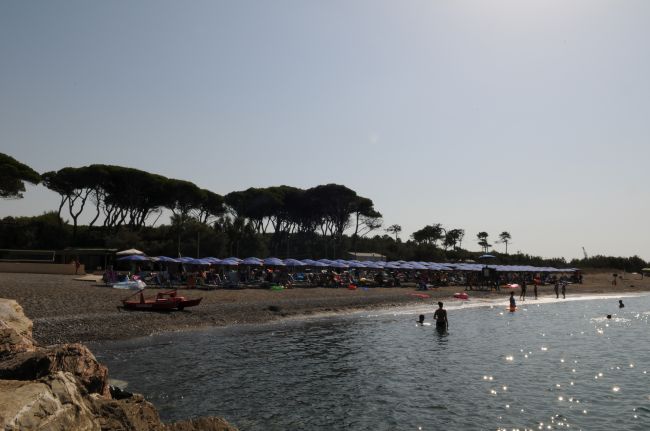 Spiaggia con ombrelloni blu, poche persone in acqua, linee di alberi sullo sfondo.