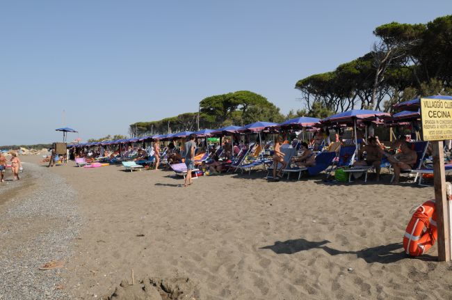 Una spiaggia con lettini e ombrelloni viola, persone rilassate e alberi sullo sfondo.
