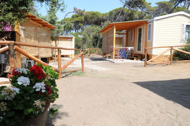 Due bungalow in legno su sabbia, circondati da recinzioni di legno e piante verdi.