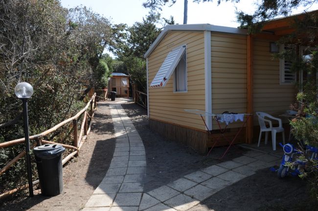 Casa mobile gialla con tende aperte, lungo un sentiero pavimentato nel verde.