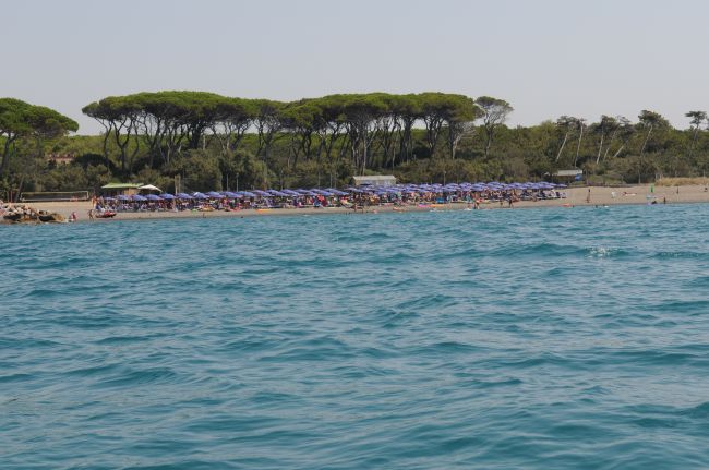 Mare azzurro con spiaggia affollata di ombrelloni e alberi sullo sfondo.