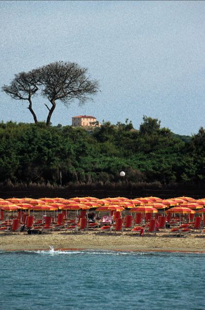 Spiaggia con ombrelloni arancioni, alberi sullo sfondo e un edificio in lontananza.