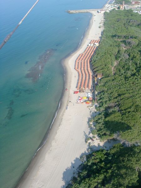 Vista aerea di una spiaggia con lettini e ombrelloni, affiancata da una foresta verde.