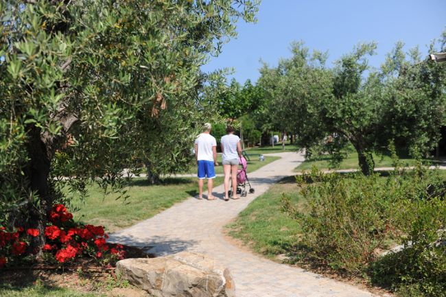 Due persone passeggiano su un sentiero alberato.