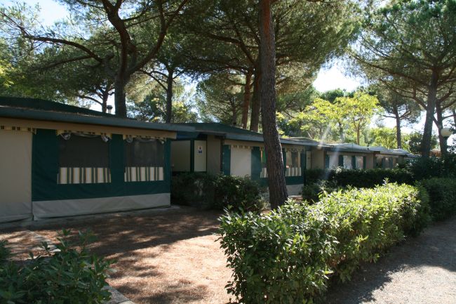 Bungalow immersi tra alberi e cespugli.