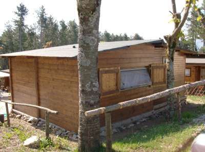 Casetta in legno con finestre aperte, circondata da alberi.
