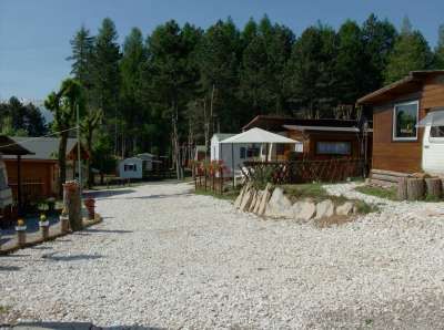 Strutture in legno in un campeggio circondato da pini.