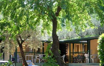 Bungalow circondato da alberi e vegetazione rigogliosa.