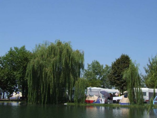 Tende e roulotte tra alberi vicino a un lago con salici piangenti.