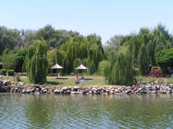 Un lago con salici e aree picnic sulla riva erbosa.