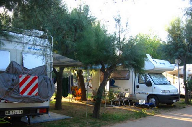 Camper parcheggiati tra gli alberi.