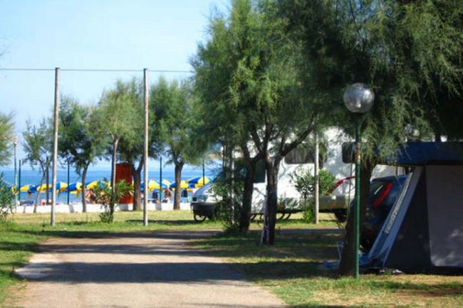 Campeggio vicino al mare con alberi e ombrelloni gialli e blu.