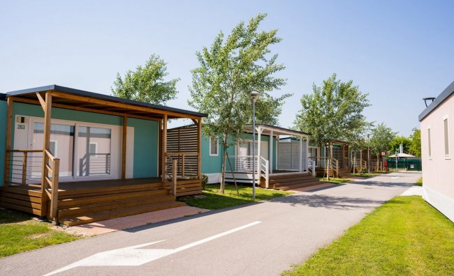 Chalet moderni lungo una strada alberata.