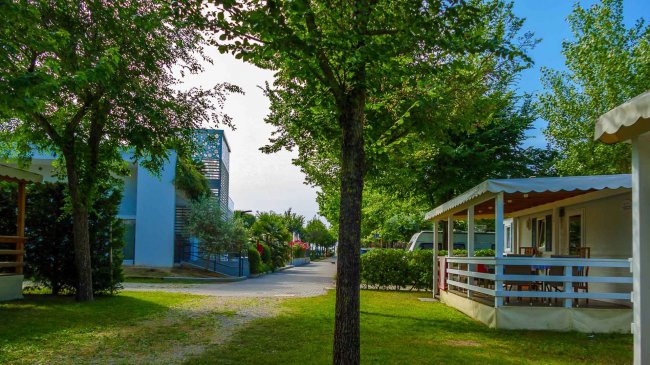 Strada con case mobili e alberi verdi.