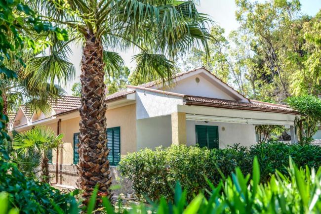 Casetta circondata da palme e piante.