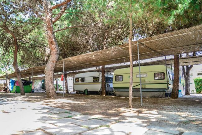 Roulotte parcheggiate sotto alberi.