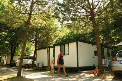 Una casa mobile tra gli alberi con persone che camminano accanto.