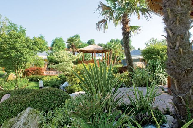Un giardino con palme e gazebo in legno.