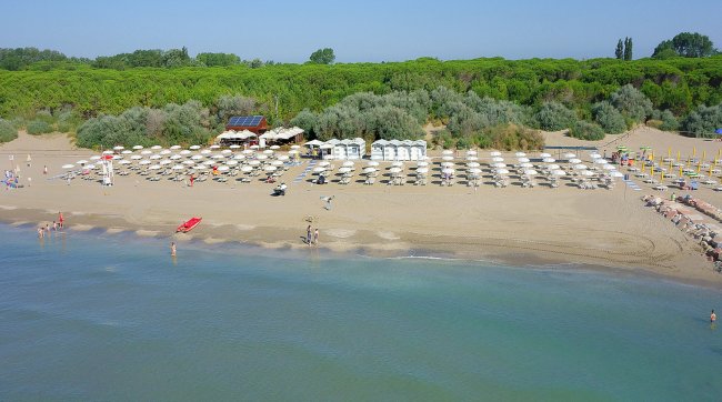 Spiaggia con ombrelloni e cabine, verde sullo sfondo.